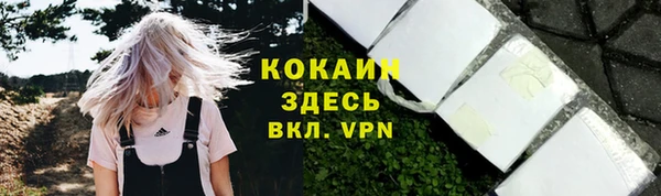 ешки Аркадак