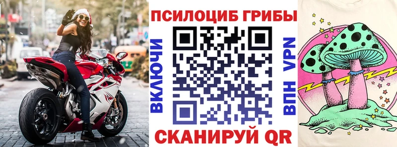 ОМГ ОМГ онион Мглин Псилоцибиновые грибы MAGIC MUSHROOMS
